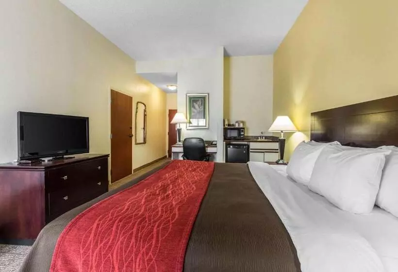 身障者適用キングサイズベッドルーム, Comfort Inn & Suites