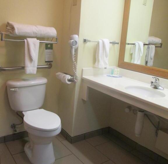 חדר סטנדרט, מיטת קינג, מותאם לאדם עם מוגבלויות, Comfort Inn & Suites