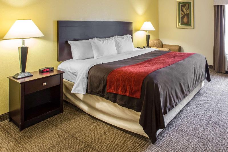 חדר סטנדרט עם מיטת קינג, Comfort Inn & Suites