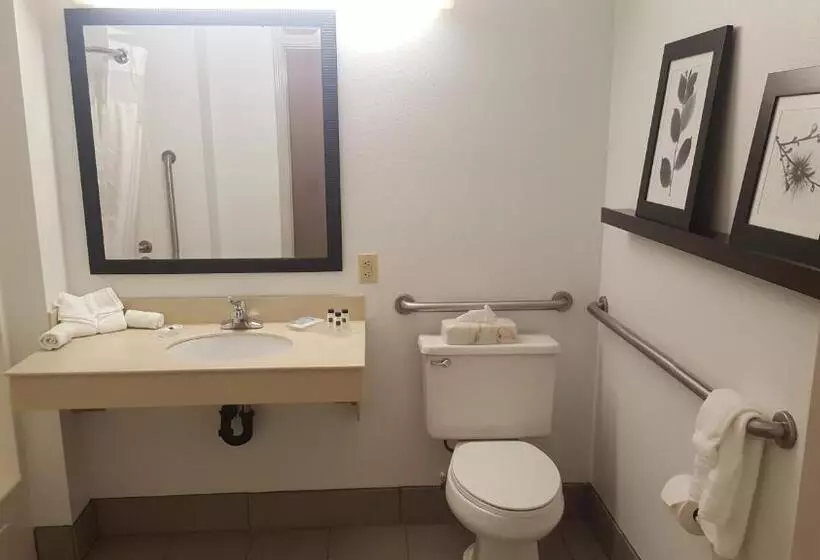 キングサイズベッドのスタンダードルーム, Country Inn & Suites By Radisson, Bryant Little Rock , Ar