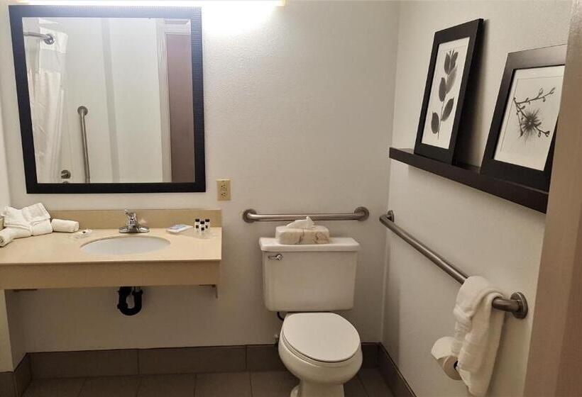 غرفة قياسية سرير كينج, Country Inn & Suites By Radisson, Bryant Little Rock , Ar