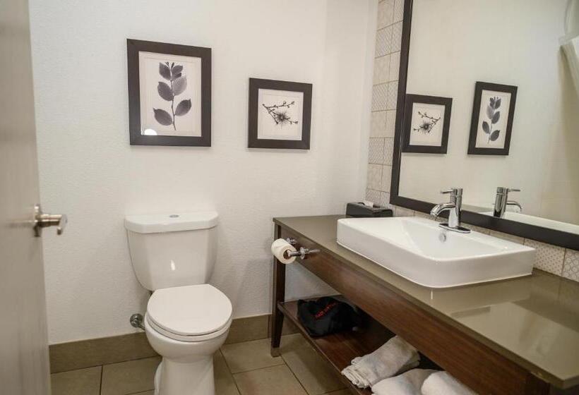 استودیو استاندارد با تخت کینگ, Country Inn & Suites By Radisson, Greenfield, In