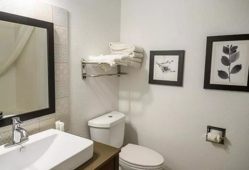 キングサイドベッドのスタンダードワンルーム, Country Inn & Suites By Radisson, Greenfield, In