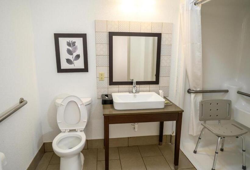 اتاق استاندارد با تخت بزرگ برای معلولان, Country Inn & Suites By Radisson, Greenfield, In