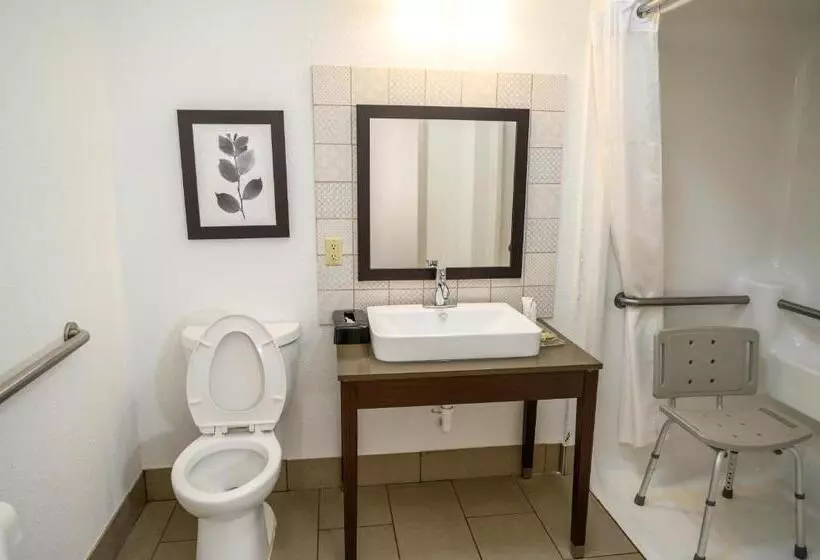身障者適用キングサイズベッドルーム, Country Inn & Suites By Radisson, Greenfield, In