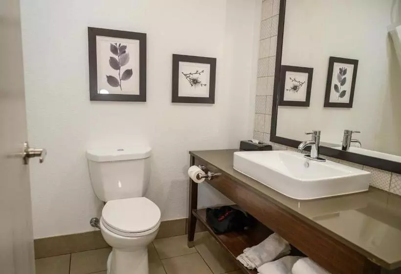 プレミアムスタジオ, Country Inn & Suites By Radisson, Greenfield, In