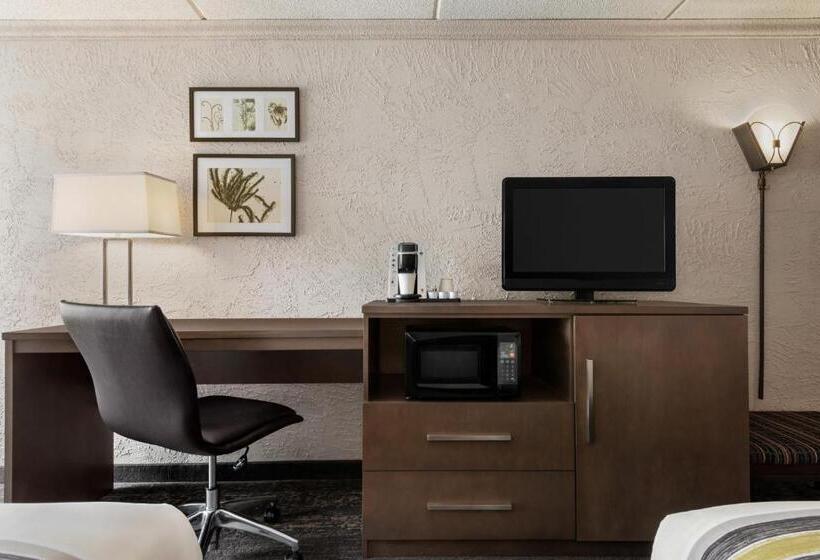 غرفة قياسية سرير كينج, Country Inn & Suites By Radisson Mt. Pleasantracine West Wi