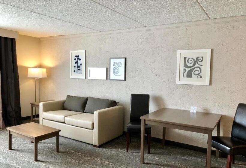 Люкс, Country Inn & Suites By Radisson Mt. Pleasantracine West Wi
