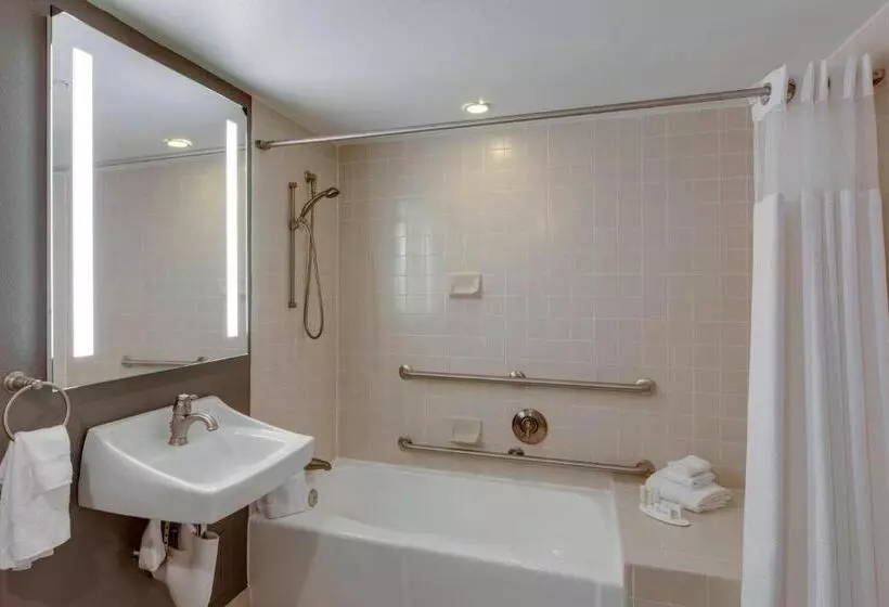اتاق استاندارد با تخت بزرگ, Courtyard By Marriott Boston Logan Airport