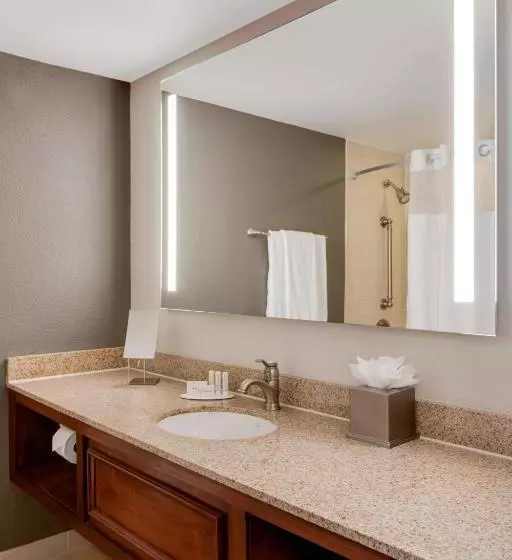 اتاق استاندارد با تخت بزرگ, Courtyard By Marriott Boston Logan Airport