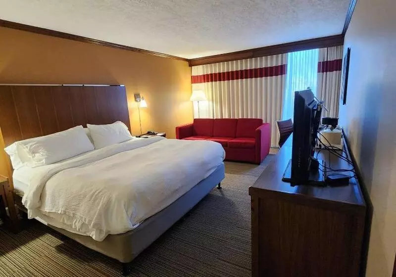 اتاق استاندارد با تخت بزرگ, Four Points By Sheraton Kansas City Airport