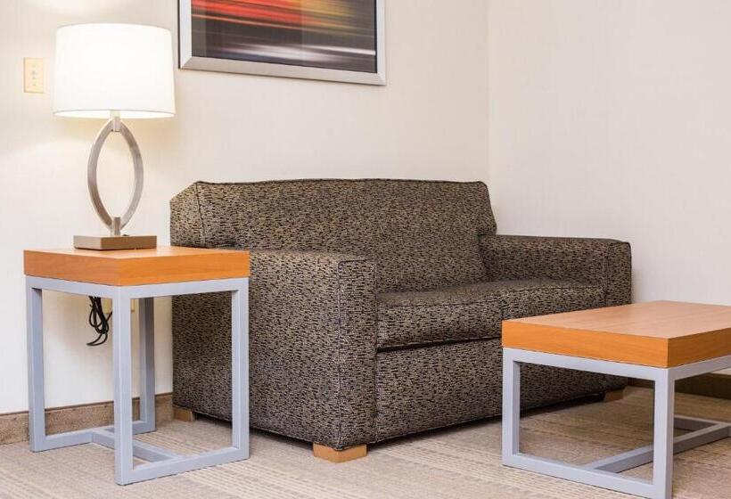 キングサイズベッドのスイートルーム, Holiday Inn & Suites Bolingbrook, An Ihg