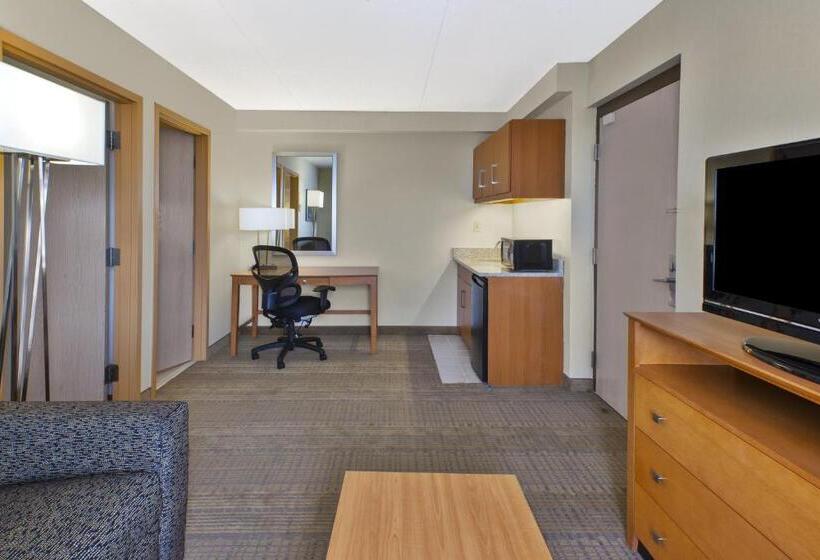 جناح سرير كينج, Holiday Inn & Suites Bolingbrook, An Ihg