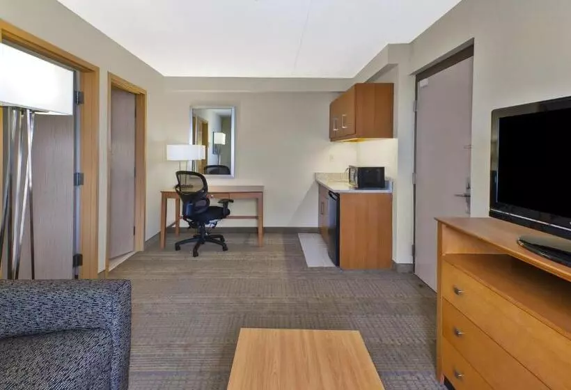 Sviitti King-vuode, Holiday Inn & Suites Bolingbrook, An Ihg