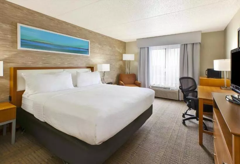 Standard-invahuone King-vuode, Holiday Inn & Suites Bolingbrook, An Ihg