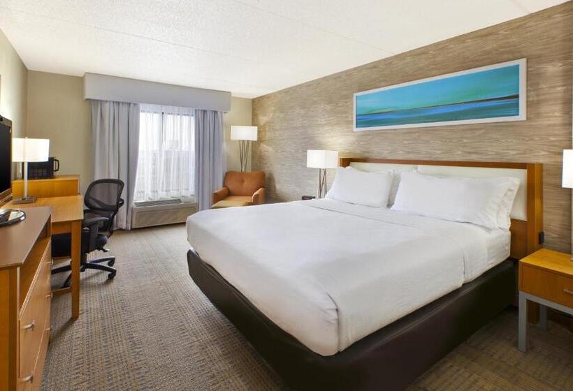 身障者適用キングサイズベッドルーム, Holiday Inn & Suites Bolingbrook, An Ihg