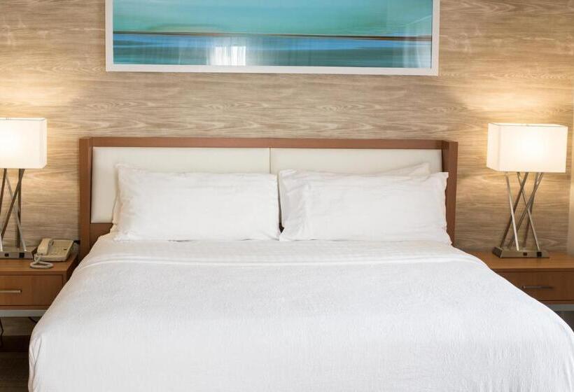 غرفة قياسية سرير كينج لذوى الإحتياجات الخاصة, Holiday Inn & Suites Bolingbrook, An Ihg