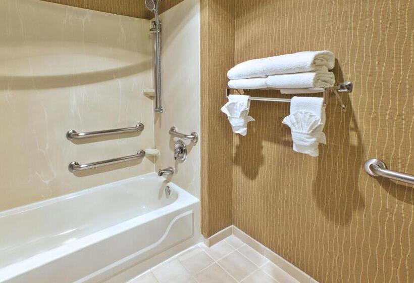 身障者適用スイートルーム, Holiday Inn & Suites Bolingbrook, An Ihg