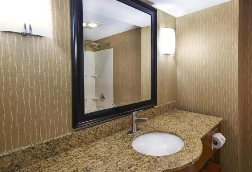 Presidenttisviitti, Holiday Inn & Suites Bolingbrook, An Ihg