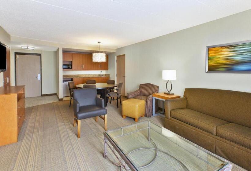 جناح رئاسى, Holiday Inn & Suites Bolingbrook, An Ihg