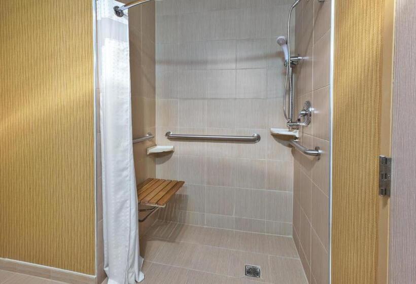 جناح لذوى الاحتياجات الخاصة, Holiday Inn & Suites Bolingbrook, An Ihg