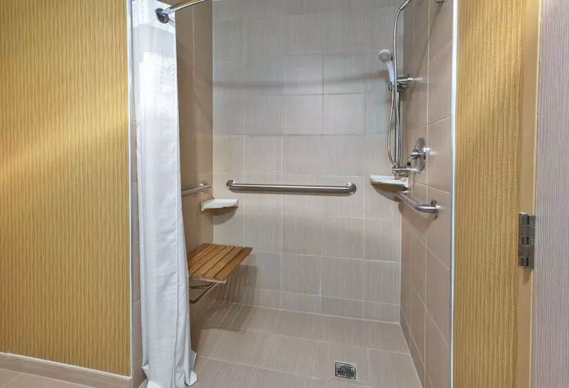 Sviitti Liikuntarajoitteisille, Holiday Inn & Suites Bolingbrook, An Ihg