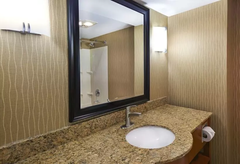 Sviitti Liikuntarajoitteisille, Holiday Inn & Suites Bolingbrook, An Ihg