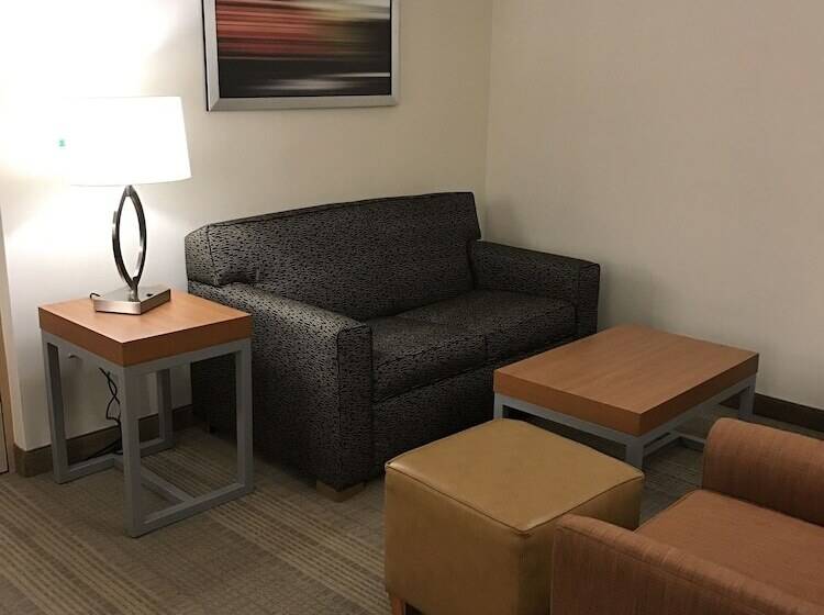 جناح لذوى الاحتياجات الخاصة, Holiday Inn & Suites Bolingbrook, An Ihg