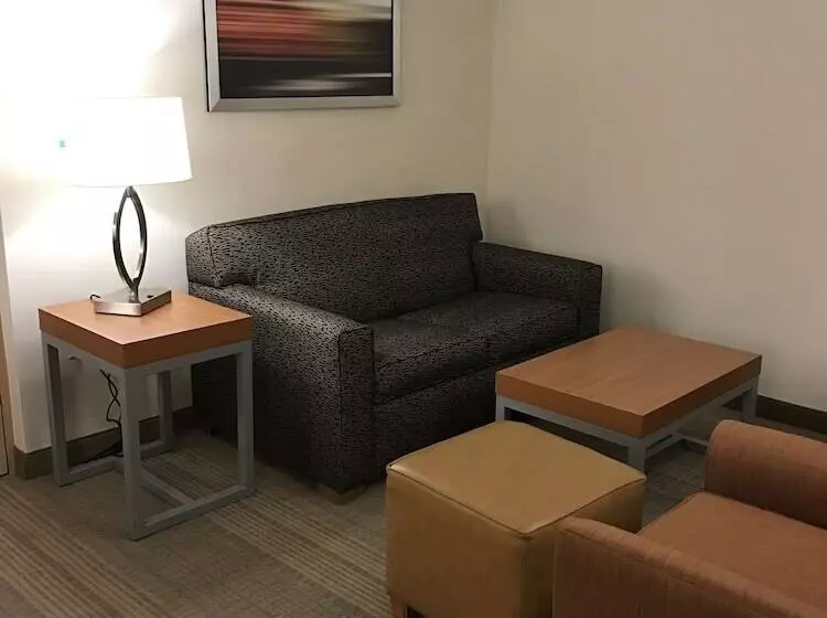 Sviitti Liikuntarajoitteisille, Holiday Inn & Suites Bolingbrook, An Ihg