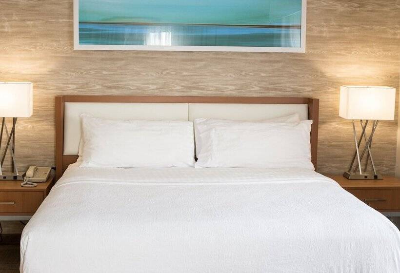 جناح لذوى الاحتياجات الخاصة, Holiday Inn & Suites Bolingbrook, An Ihg