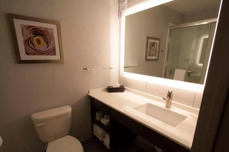 اتاق اجرایی با تخت بزرگ, Holiday Inn Alexandria   Downtown, An Ihg