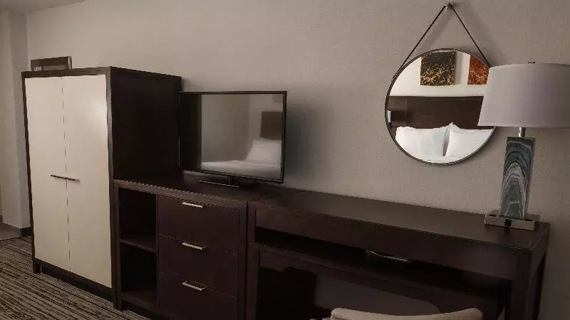 اتاق استاندارد با تخت بزرگ برای معلولان, Holiday Inn Alexandria   Downtown, An Ihg