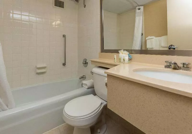 اتاق استاندارد, Holiday Inn Des Moines Downtown Mercy Campus, An Ihg