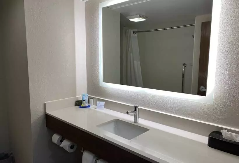 身障者適用スタンダードルーム, Holiday Inn Express & Suites Dayton Huber Heights By Ihg