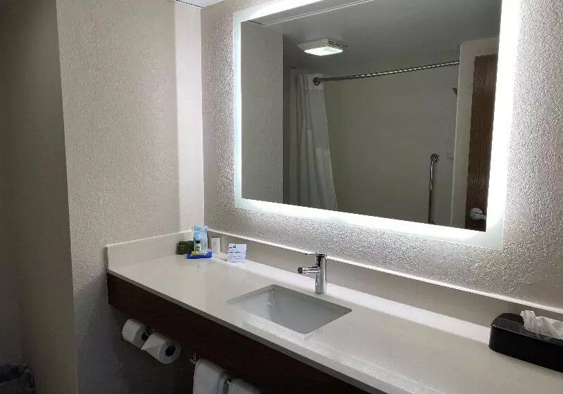 キングサイズベッドのスタンダードルーム, Holiday Inn Express & Suites Dayton Huber Heights By Ihg