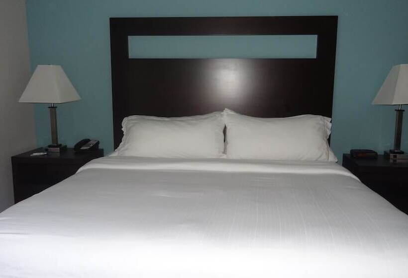 标准间, Holiday Inn Express Hotel Kansas City   Bonner Springs, An Ihg