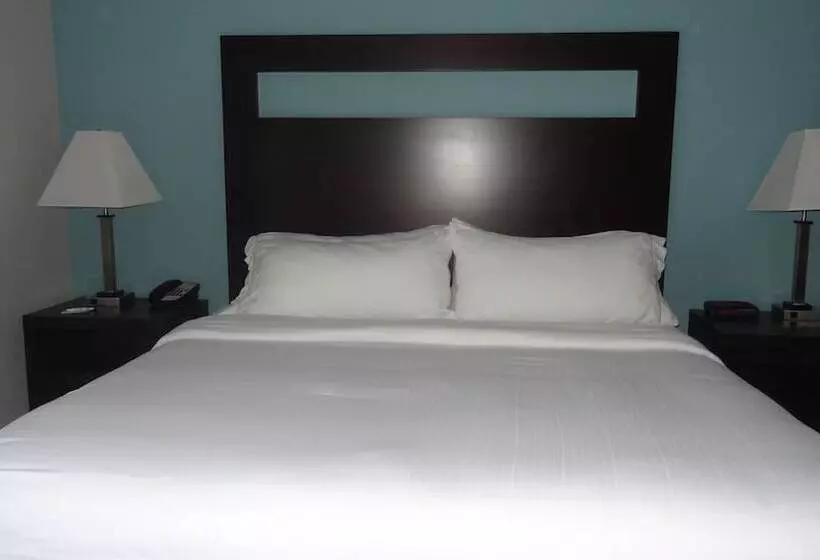 Standard-huone, Holiday Inn Express Hotel Kansas City Bonner Springs, An Ihg