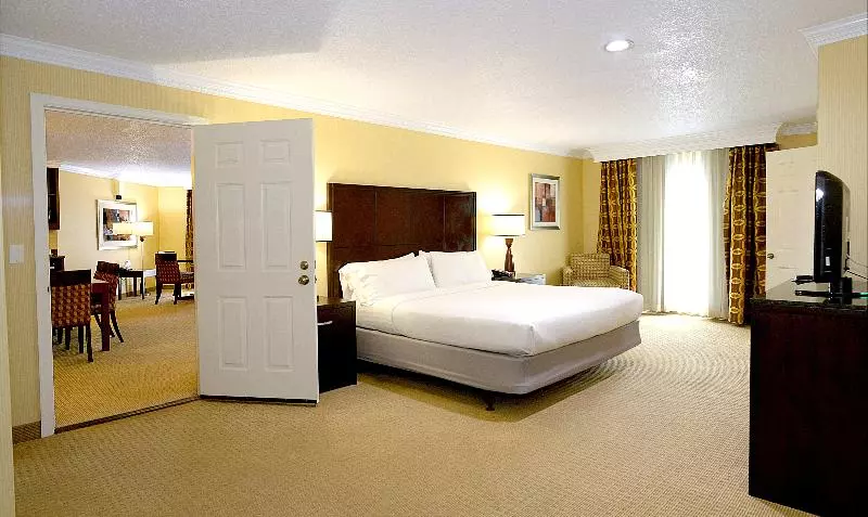 سوئیت با تخت بزرگ, Holiday Inn & Suites San Mateo   Sfo, An Ihg