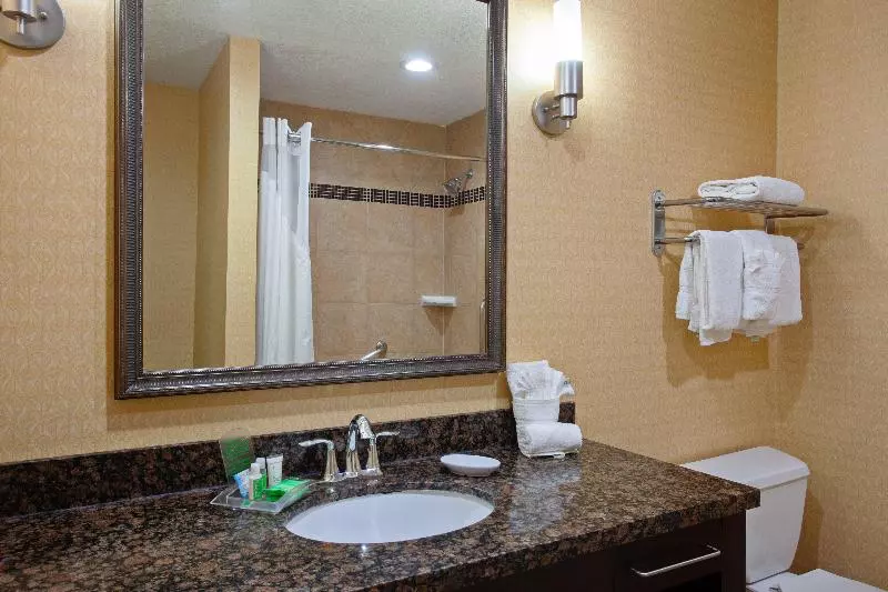 سوئیت با تخت بزرگ, Holiday Inn & Suites San Mateo   Sfo, An Ihg