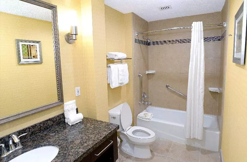 اتاق استاندارد با تخت بزرگ, Holiday Inn & Suites San Mateo   Sfo, An Ihg