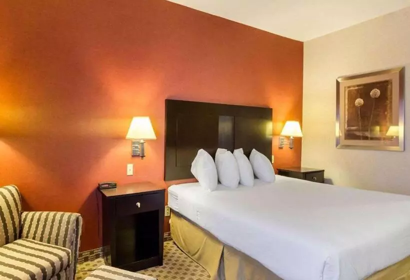 キングサイズベッドのスタンダードルーム, Quality Inn & Suites Oakwood Village Cleveland South