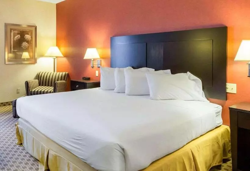 キングサイズベッドのスタンダードルーム, Quality Inn & Suites Oakwood Village Cleveland South