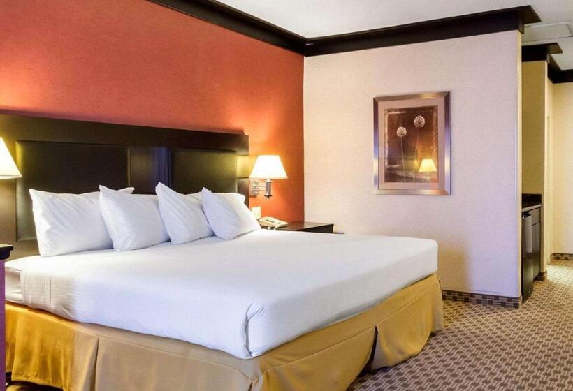 Suíte com Hidromassagem, Quality Inn & Suites Oakwood Village   Cleveland South