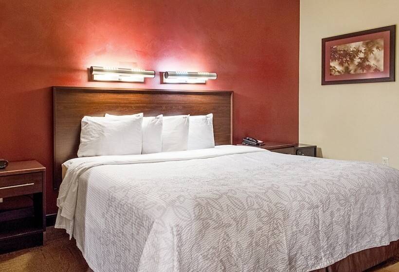 디럭스 룸, Red Roof Plus Henderson