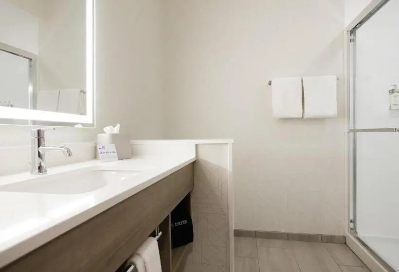 キングサイズベッドのスイートルーム, Holiday Inn Express Hotel And Suites Fort Worth/i 20