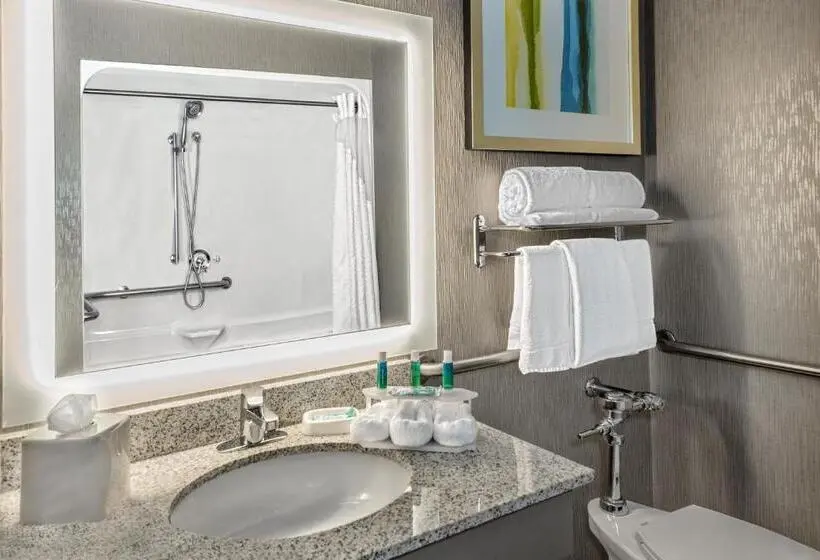 身障者適用スイートルーム, Holiday Inn Express Hotel And Suites Fort Worth/i 20