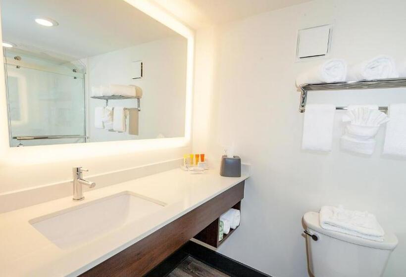 クイーンサイズベッドのスタンダードルーム, Holiday Inn Resort Panama City Beach, An Ihg