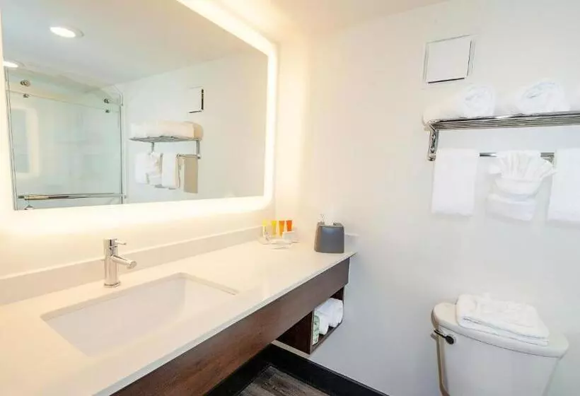 اتاق استاندارد با تخت دو نفره بزرگ, Holiday Inn Resort Panama City Beach, An Ihg