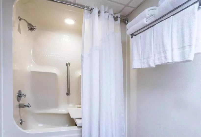 اتاق استاندارد با تخت دو نفره بزرگ برای معلولان, Holiday Inn Resort Panama City Beach, An Ihg