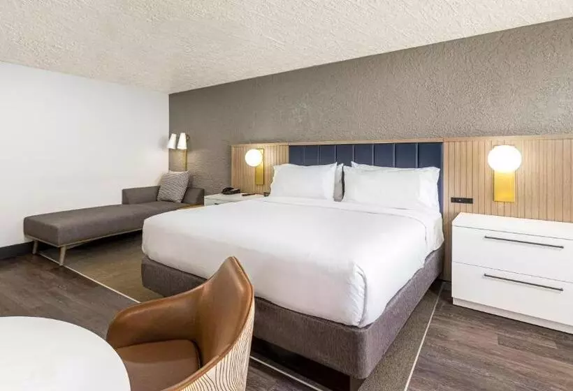 اتاق استاندارد با تخت بزرگ برای معلولان, Holiday Inn Resort Panama City Beach, An Ihg